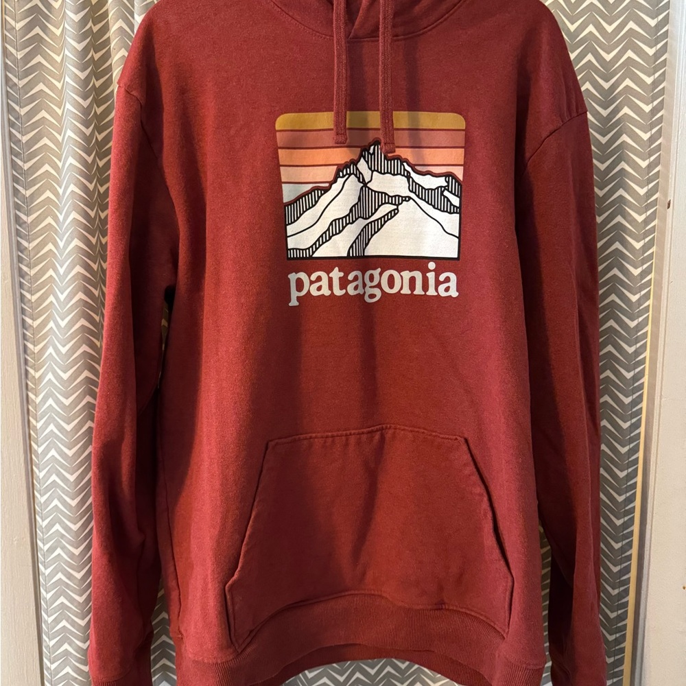 Patagonia Men's Rust Red Hoodie